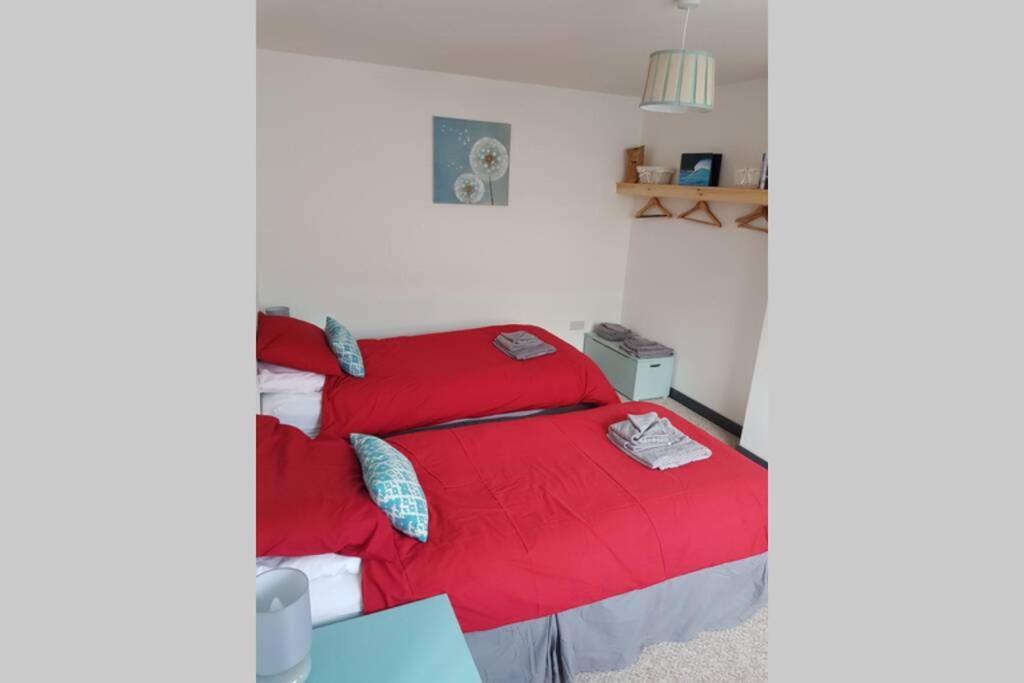 Apartament The Annexe Newquay New Quay Zewnętrze zdjęcie